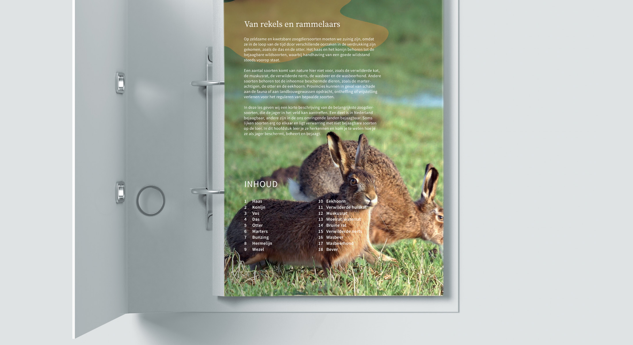 slider-2200×1200-stichtingjachtopleidingen7 content opleidingsmap Jacht & Faunabeheer SJN